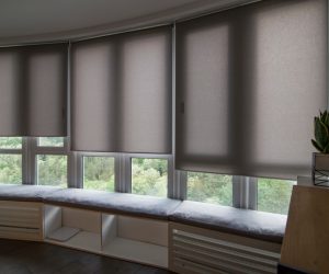 Gray Roller Blinds — Elegant Blinds Awnings in Taree, NSW